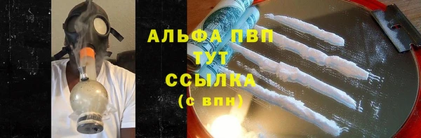 амф Гусев