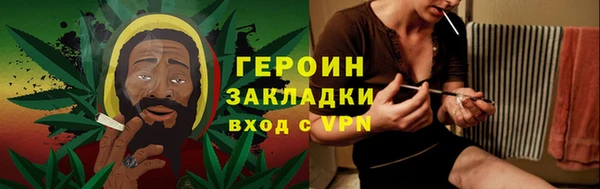 амф Гусев
