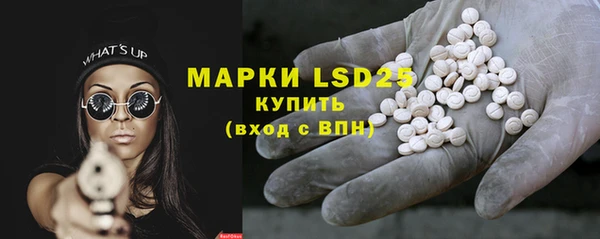 амф Гусев