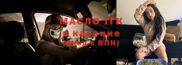 гидра Гусь-Хрустальный