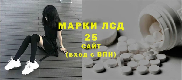 амф Гусев