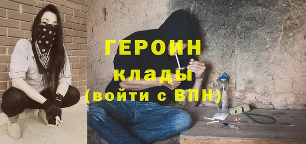 амф Гусев
