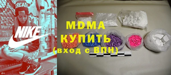 амф Гусев