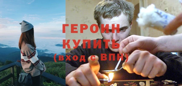 амф Гусев
