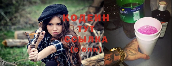 амф Гусев